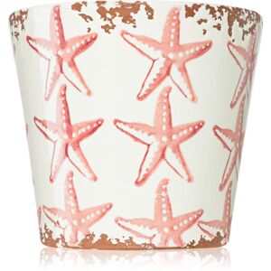 Wax Design Starfish Seabed vonná sviečka 14x12,5 cm