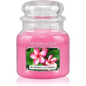 Country Candle Blooming Plumeria vonná sviečka 453 g