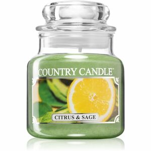 Country Candle Citrus & Sage vonná sviečka 104 g