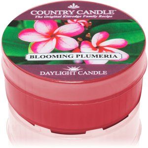 Country Candle Blooming Plumeria čajová sviečka 42 g