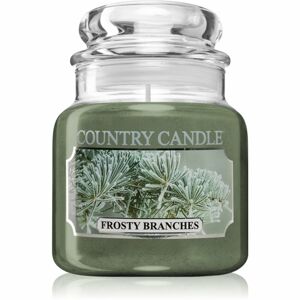Country Candle Frosty Branches vonná sviečka 104 g