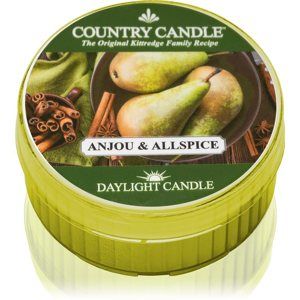 Country Candle Anjou & Allspice čajová sviečka 42 g