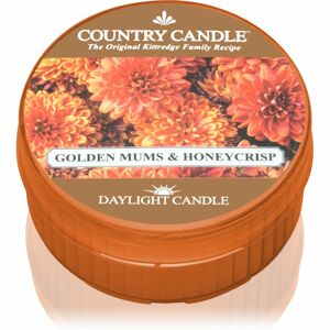 Country Candle Golden Mums & Honey Crisp čajová sviečka 42 g