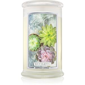 Kringle Candle Succulents vonná sviečka 624 g