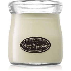 Milkhouse Candle Co. Creamery Citrus & Lavender vonná sviečka Cream Jar 142 g