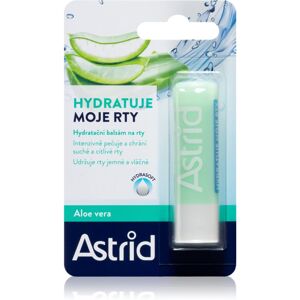 Astrid Lip Care hydratačný balzam na pery s aloe vera 4,8 g