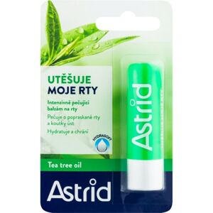Astrid Lip Care balzam na pery s čajovníkovým olejom 4.8 g