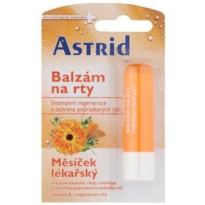 Astrid Lip Care regeneračný balzam na pery s nechtíkom lekárskym 4,8 g