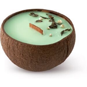 Tropicandle Green Tea vonná sviečka s dreveným knotom 350 ml