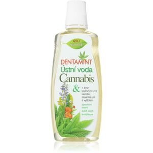 Bione Cosmetics Dentamint ústna voda príchuť Cannabis 500 ml