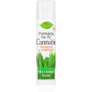 Bione Cosmetics Cannabis pomáda na pery 5 ml