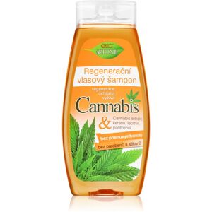 Bione Cosmetics Cannabis regeneračný šampón 400 ml
