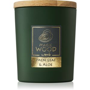 Krab Magic Wood Palm Leaf & Aloe vonná sviečka 300 g