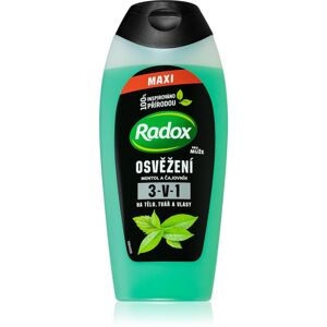 Radox Refreshment osviežujúci sprchový gél pre mužov 400 ml