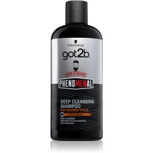 got2b Phenomenal hĺbkovo čistiaci šampón 250 ml