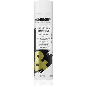 TONI&GUY STRENGTHPLEX BOND REPAIR posilňujúci šampón pre poškodené vlasy 250 ml