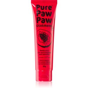 Pure Paw Paw Ointment balzam na pery a suché miesta 25 g
