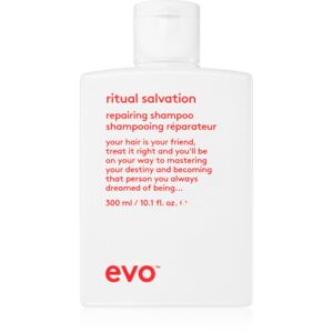 EVO The Therapist Hydrating Shampoo posilňujúci šampón pre poškodené a farbené vlasy 300 ml