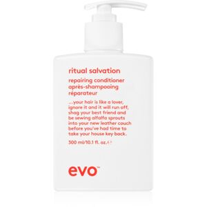 EVO The Therapist Hydrating Shampoo posilňujúci kondicionér pre poškodené a krehké vlasy 300 ml