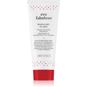 EVO Fabuloso Colour Boosting Treatment maska na vlasy pre zvýraznenie farby vlasov odtieň Mahogany 220 ml