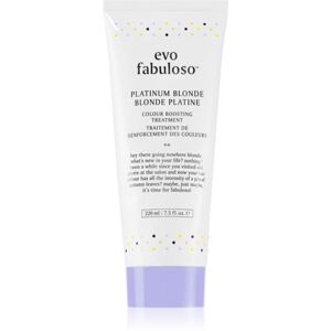 EVO Fabuloso Colour Boosting Treatment maska na vlasy pre zvýraznenie farby vlasov odtieň Platinum Blonde 220 ml