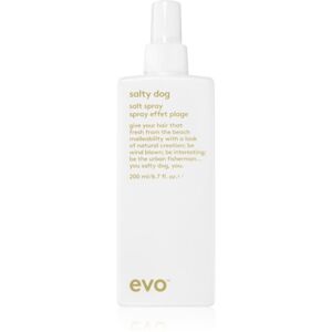 EVO Style Salty Dog slaný sprej na vlasy 200 ml
