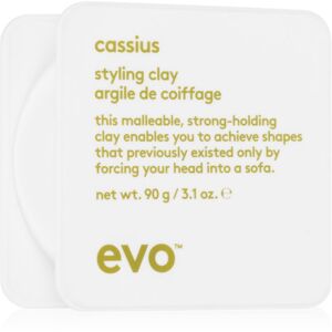 EVO Style Cassius stylingový íl na vlasy pre fixáciu a tvar 90 g