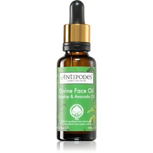 Antipodes Divine Face Oil Rosehip & Avocado Oil ochranné sérum proti prvým známkam starnutia pleti 30 ml