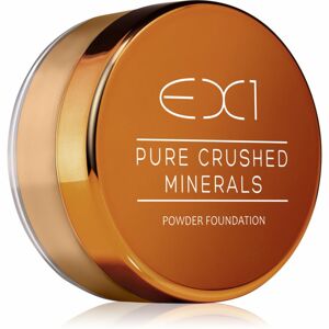 EX1 Cosmetics Pure Crushed Minerals sypký minerálny púder odtieň 5.0 8 g