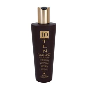 Alterna Ten vyživujúci šampón pre obnovu a posilnenie vlasov bez sulfátov 250 ml