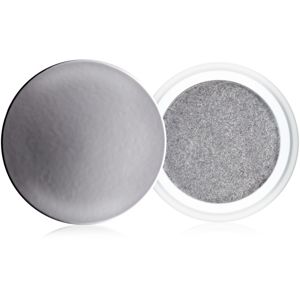 Clarins Eye Make-Up Ombre Iridescente dlhotrvajúce očné tiene s perleťovým leskom odtieň 10 Silver Grey 7 g