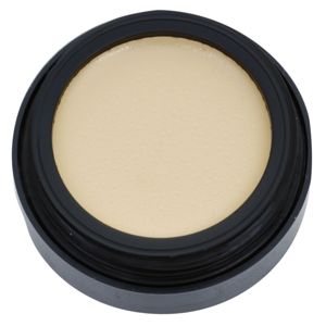 Catrice Liquid Camouflage High Coverage Concealer krycí make-up odtieň 010 Ivory 3 g