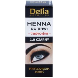 Delia Cosmetics Henna farba na obočie odtieň 1.0 Black 2 g + 2 ml