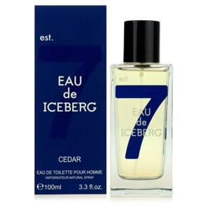 Iceberg Eau de Iceberg Cedar toaletná voda pre mužov 100 ml