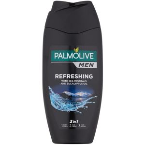 Palmolive Men Refreshing sprchový gél pre mužov 3v1 250 ml