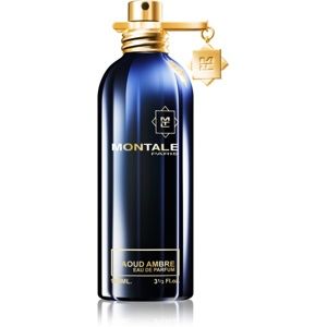 Montale Aoud Ambre parfumovaná voda unisex 100 ml