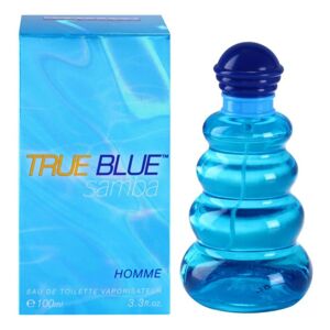 Perfumer’s Workshop True Blue Samba toaletná voda pre mužov 100 ml