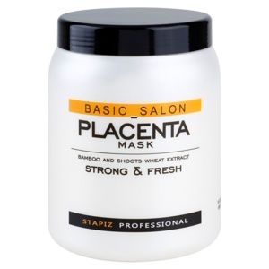 Stapiz Basic Salon Placenta hydratačná maska pre lámavé a namáhané vlasy 1000 ml