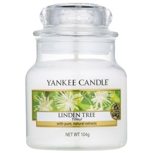 Yankee Candle Linden Tree vonná sviečka 104 g Classic malá