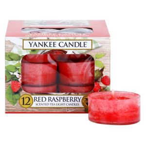 Yankee Candle Red Raspberry čajová sviečka 12 x 9.8 g