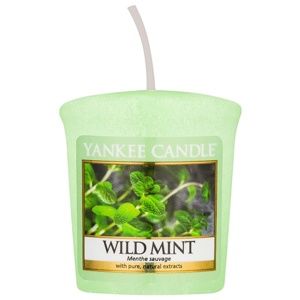 Yankee Candle Wild Mint votívna sviečka 49 g