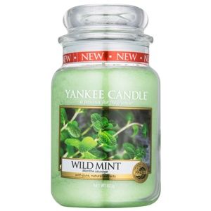 Yankee Candle Wild Mint vonná sviečka 623 g Classic veľká