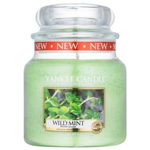 Yankee Candle Wild Mint vonná sviečka 411 g Classic stredná