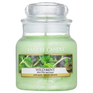 Yankee Candle Wild Mint vonná sviečka Classic malá 104 g