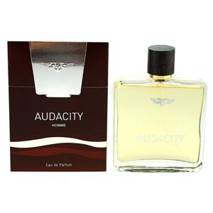 Zync Audacity parfumovaná voda pre mužov 100 ml